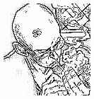 Immagine articolo Fucine Mute