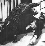 Immagine articolo Fucine Mute