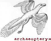 Immagine articolo Fucine Mute