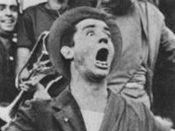 Immagine articolo Fucine Mute