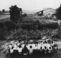 Immagine articolo Fucine Mute