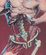 Immagine articolo Fucine Mute