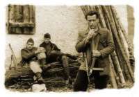 Immagine articolo Fucine Mute