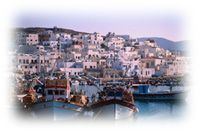 Immagine articolo Fucine Mute