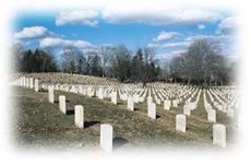 Immagine articolo Fucine Mute