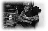 Immagine articolo Fucine Mute