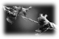 Immagine articolo Fucine Mute