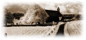 Immagine articolo Fucine Mute