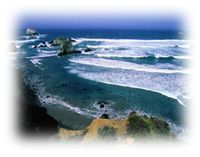 Immagine articolo Fucine Mute