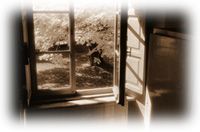 Immagine articolo Fucine Mute