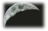 Immagine articolo Fucine Mute