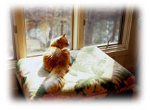 Immagine articolo Fucine Mute