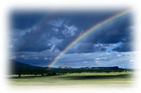 Immagine articolo Fucine Mute