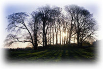 Immagine articolo Fucine Mute