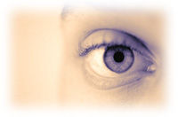 Immagine articolo Fucine Mute