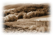 Immagine articolo Fucine Mute