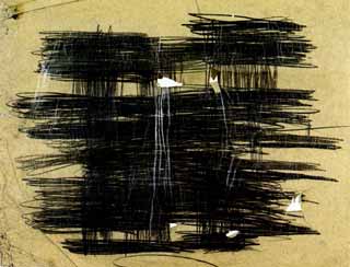 Lavoro di Günter Brus