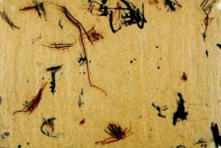 Lavoro di Günter Brus