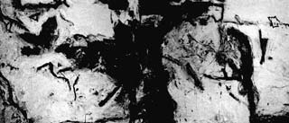 Lavoro di Günter Brus