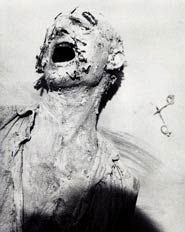 Lavoro di Günter Brus