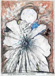 Opera di Gunter Brus