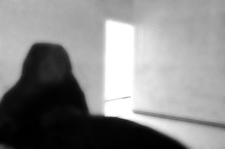 Foto di Giulio Donini