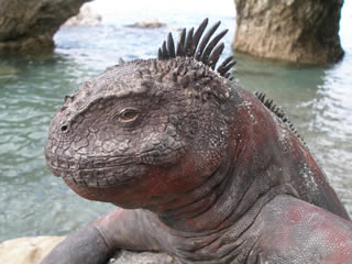 Una scultura di Davide di Donato