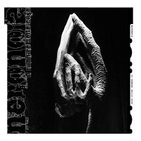 Copertina di Il rumore delle cose