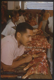 foto di Paolo Ghiotto Marin