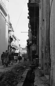 foto di Paolo Ghiotto Marin