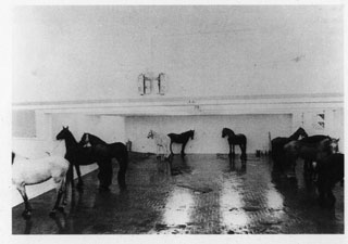 Foto dei cavalli di Kounellis