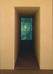 Passage di Bill Viola