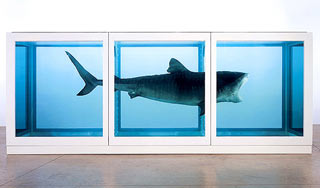 Physical Impossibility of Death in the Mind of Someone Living di Damian Hirst