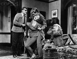 Chi ha paura di Virginia Woolf?