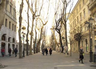 Viale XX settembre a Trieste