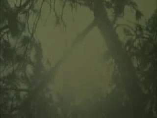 lavoro di Stan Brakhage