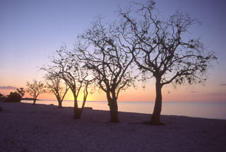 Paolo Ghiotto Marin Trinidad