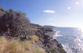 Cuba, foto di Paolo Ghiotto Marin