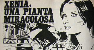 tavola di Garcia Duran