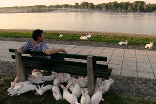 A scene from the movie