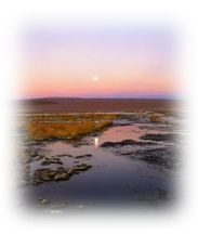 Immagine articolo Fucine Mute