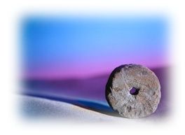 Immagine articolo Fucine Mute