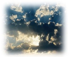 Immagine articolo Fucine Mute