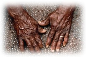 Immagine articolo Fucine Mute