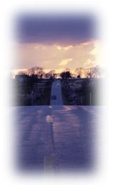 Immagine articolo Fucine Mute