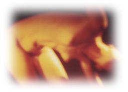 Immagine articolo Fucine Mute