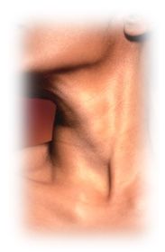 Immagine articolo Fucine Mute