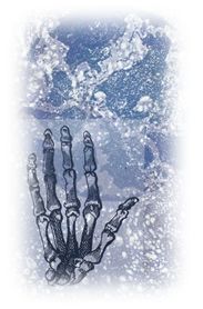 Immagine articolo Fucine Mute