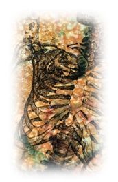 Immagine articolo Fucine Mute