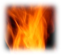 Immagine articolo Fucine Mute